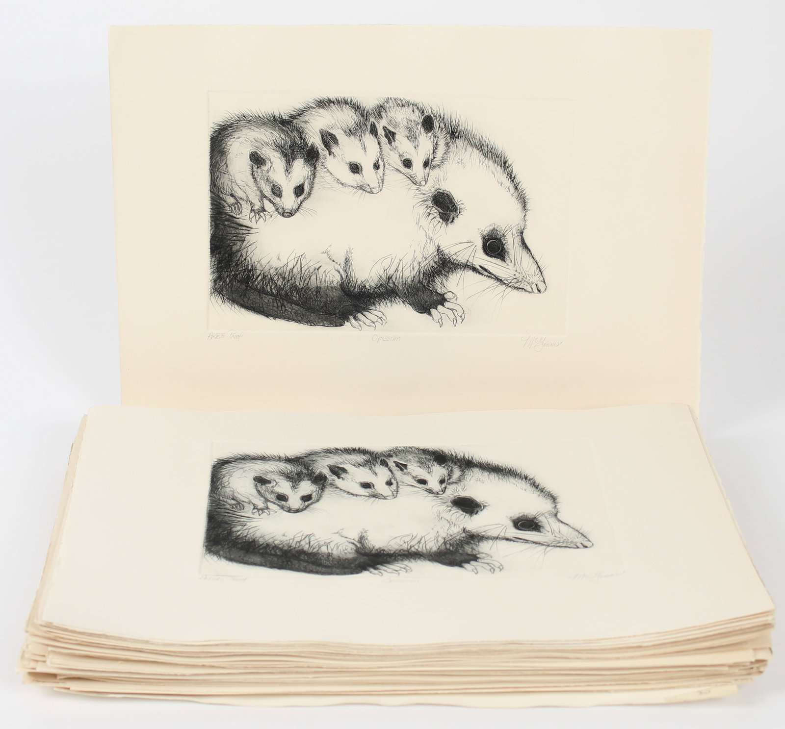 Christine McGinnis (American, 1937-2019) 54 Opossum Etchings (1 of 3)