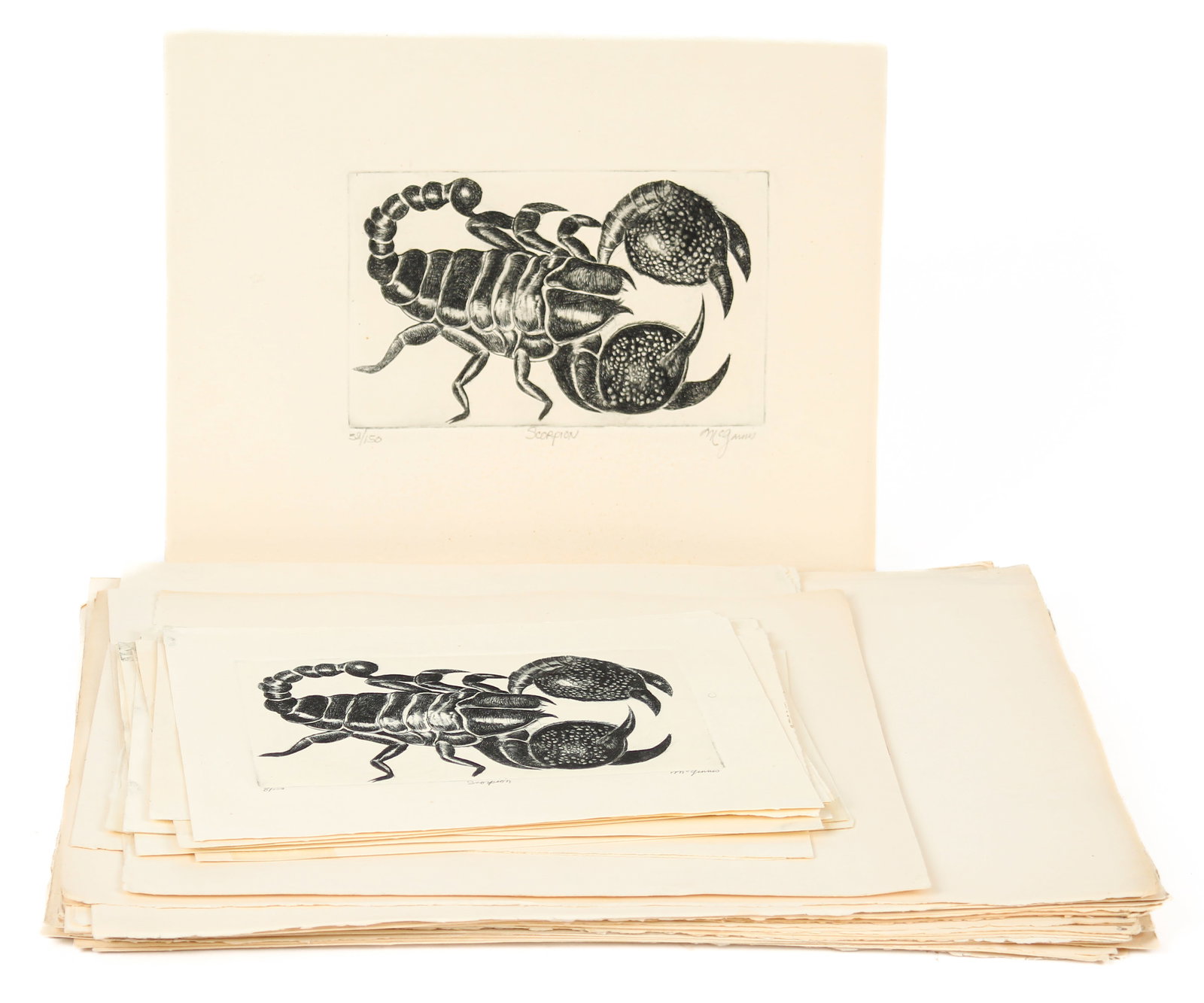 Christine McGinnis (American, 1937-2019) 45 Scorpion Etchings (1 of 7)