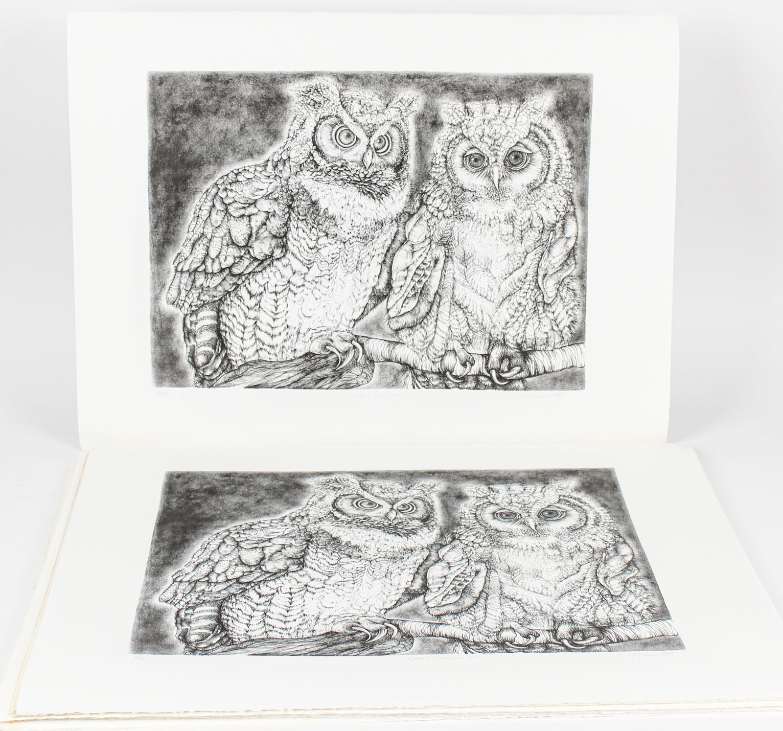 Christine McGinnis (American, 1937-2019) 42 Great Horned Owls Lithographs: Description: A group of approximately forty-two lithographs depicting a pair of great horned owls. Markings & Inscriptions: Signed, titled, and numbered Date: Mid to late 20th century Maker: Christine