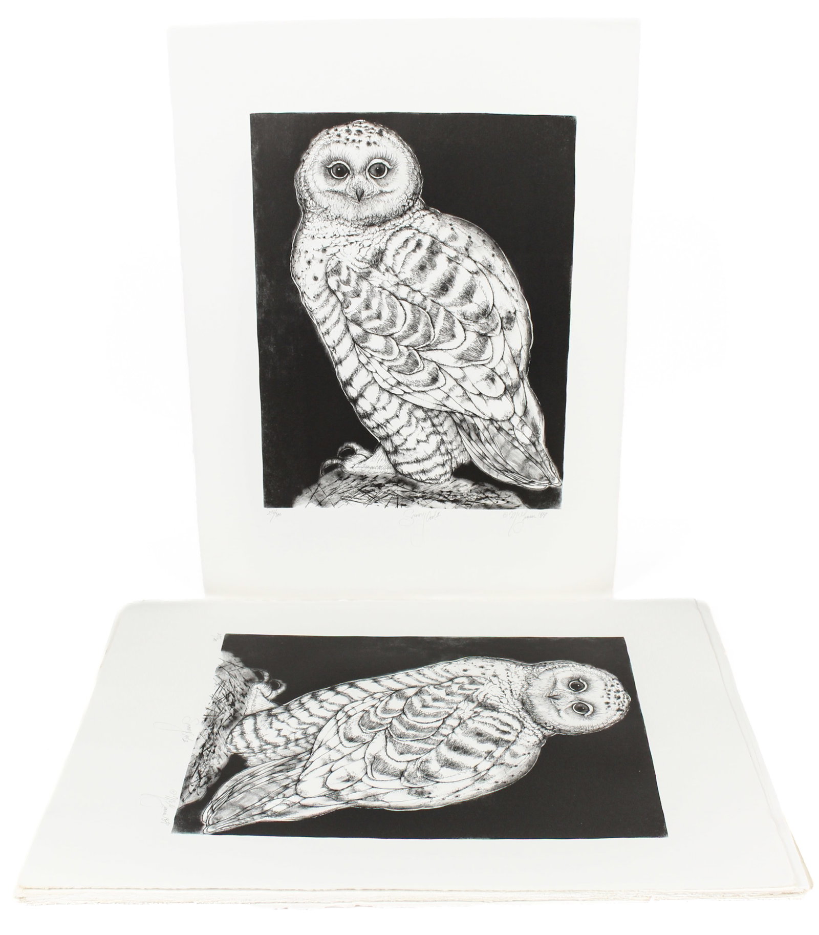 Christine McGinnis (American, 1937-2019) 43 Snowy Owl II Lithographs (1 of 6)