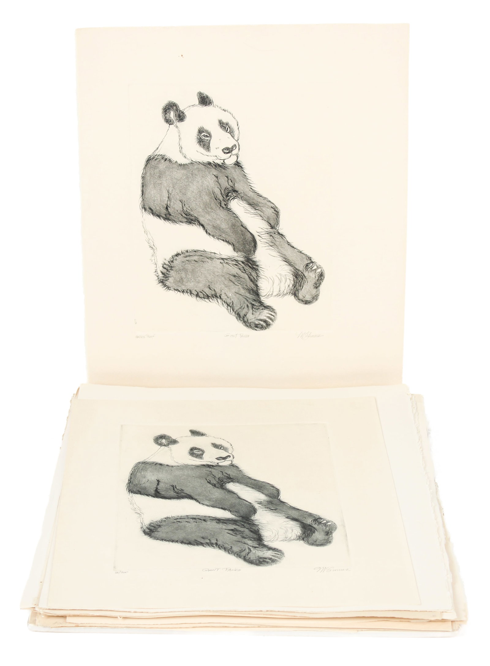 Christine McGinnis (American, 1937-2019) 26 Giant Panda Etchings: Description: Approximately twenty-six etchings on wove paper by Christine McGinnis titled 'Giant Panda'. Markings & Inscriptions: Signed, titled, and indicated as artists proofs Date: Mid to late 20th