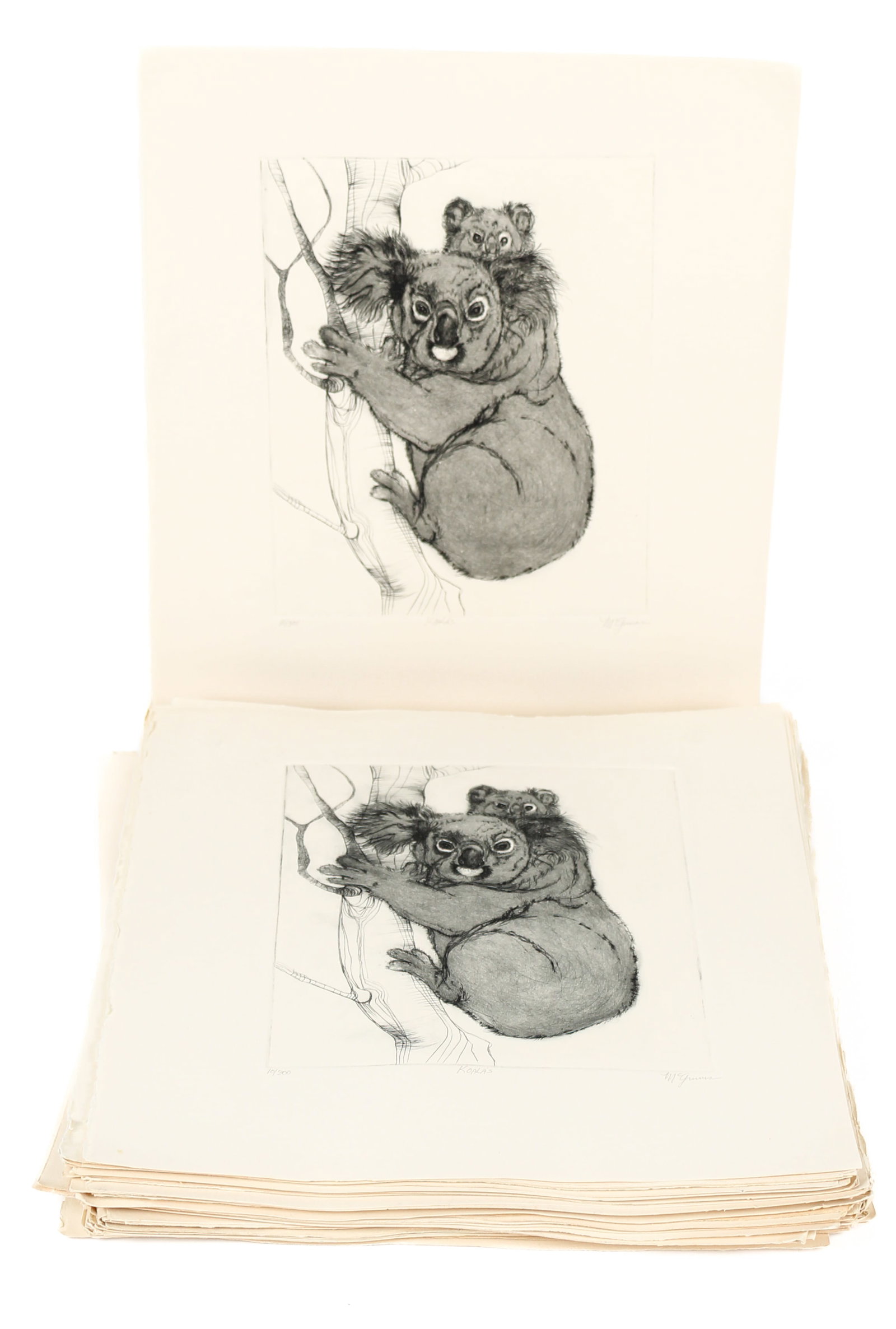 Christine McGinnis (American, 1937-2019) 72 Koalas Etchings (1 of 5)