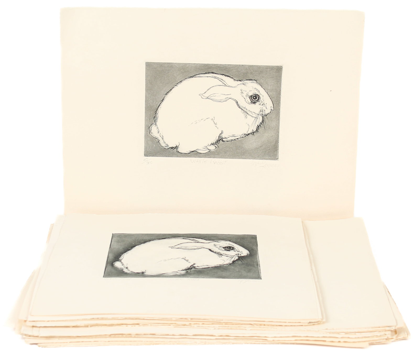 Christine McGinnis (American, 1937-2019) 47 White Rabbit Etchings: Description: Approximately forty-seven etchings on wove paper by Christine McGinnis titled 'White Rabbit'. Markings & Inscriptions: Signed, titled, and numbered out of 300 Date: Mid to late 20th centu