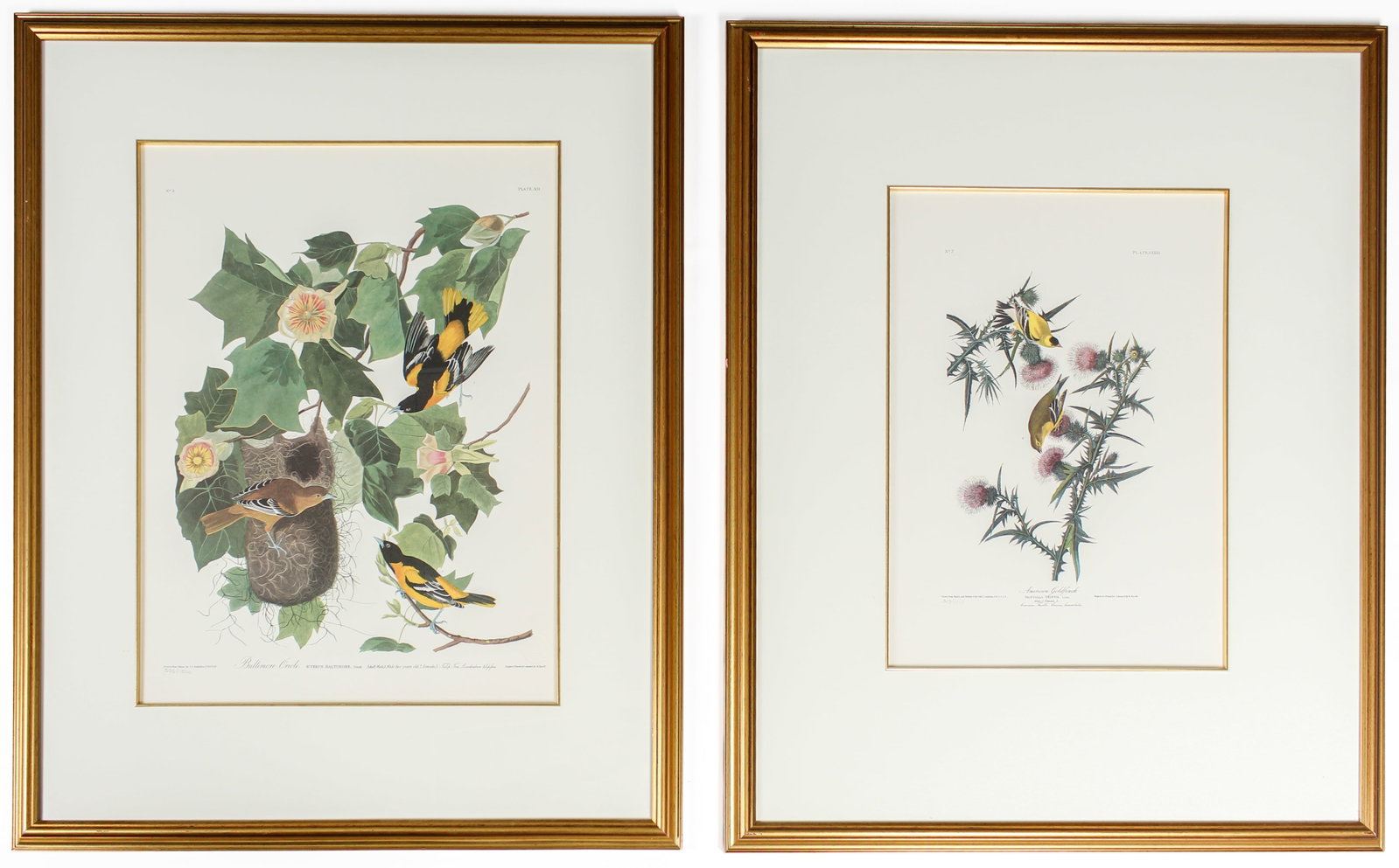 After John James Audubon (1785-1851) Baltimore Oriole and American Goldfinch, Lithographs (1 of 17)