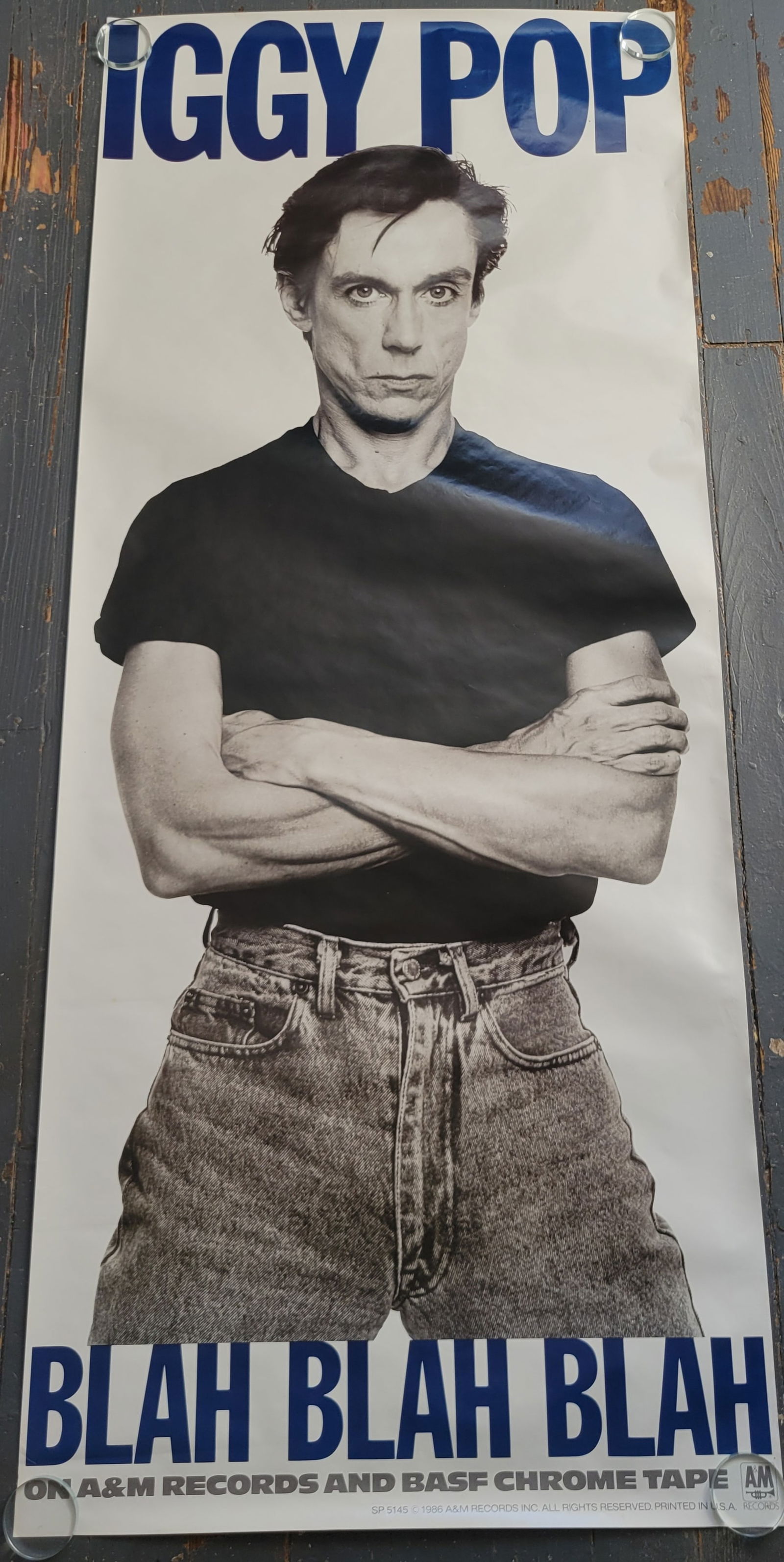 Huge IGGY Pop Blah Blah Blah Promo Poster 1986 (1 of 2)