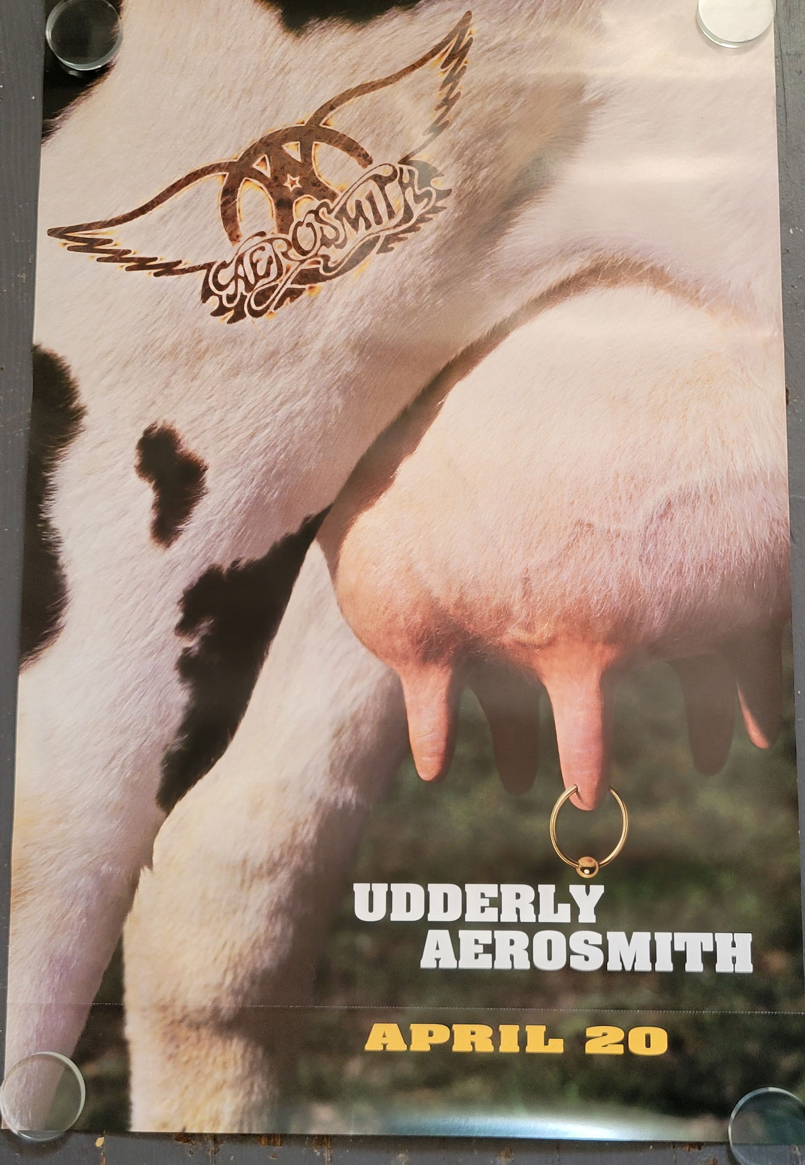 Aerosmith Double Sided 1993 Geffen Records Promo Poster (1 of 2)