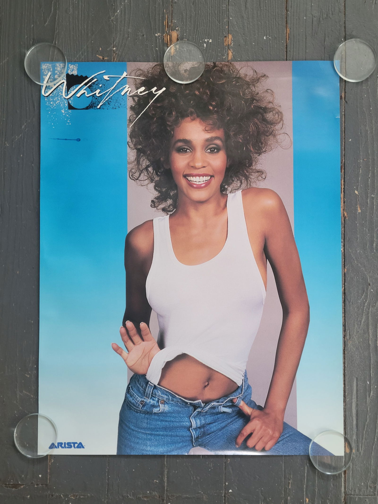 Promo Poster Lot Rick Springfield And Whitney Houston 83 and 90s (1 of 2)