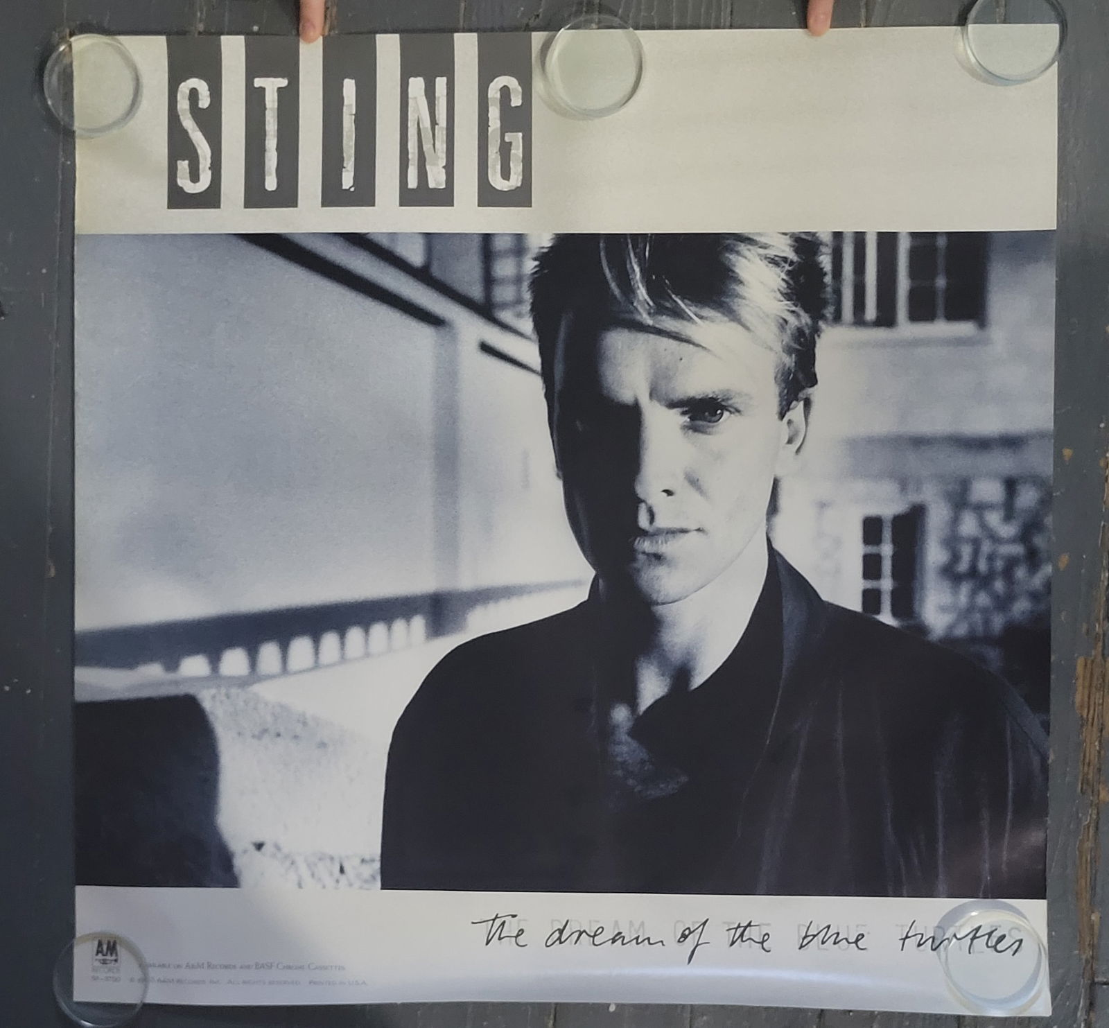 Sting Promo Poster 1984 (1 of 1)