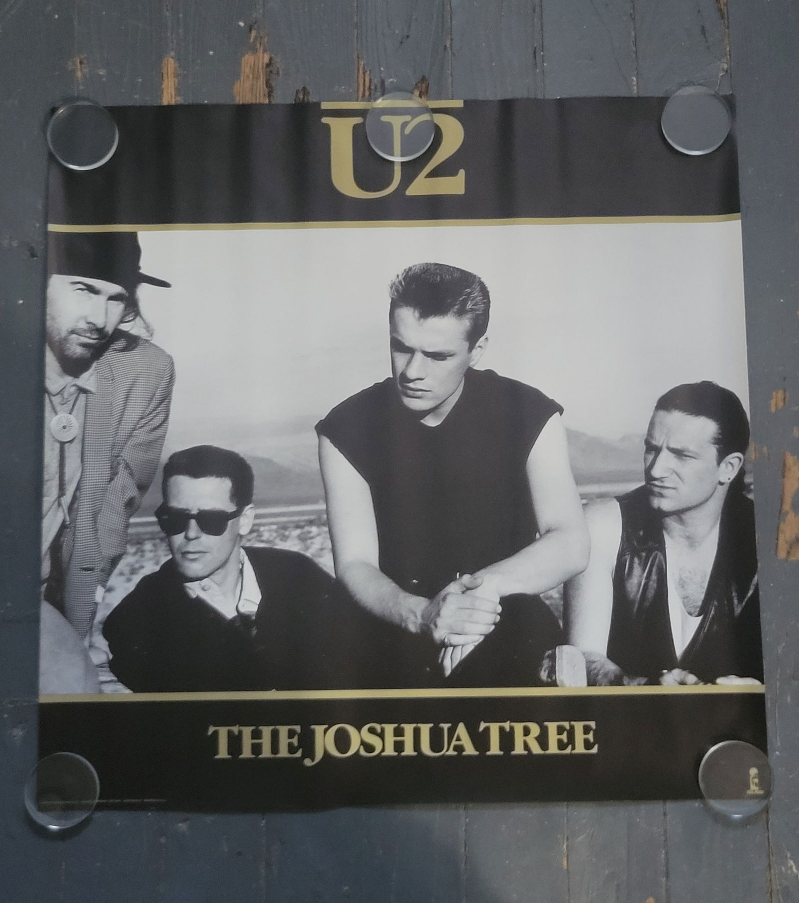 U2 Joshua Tree Promo Poster 1987 ISLAND Records (1 of 1)