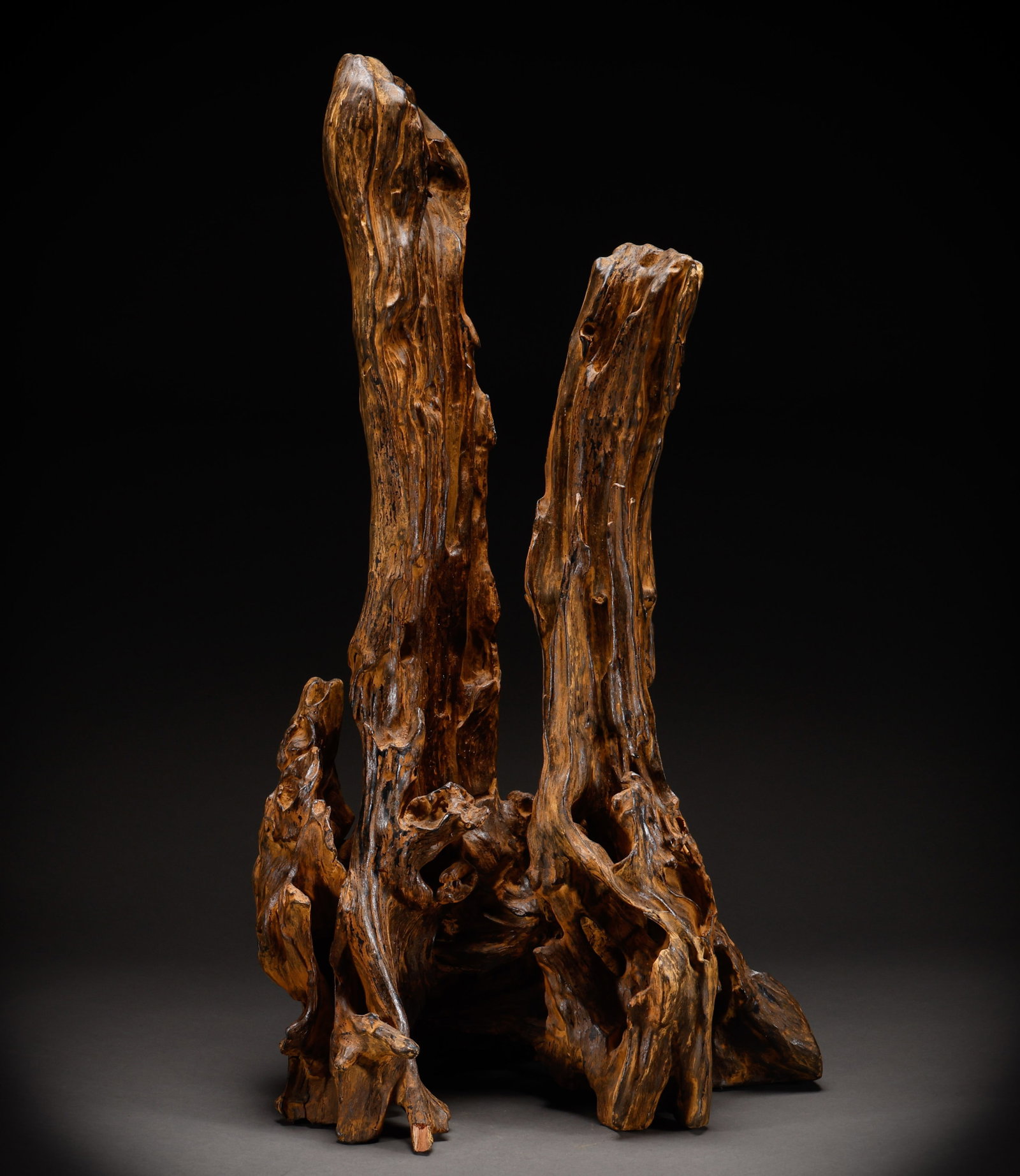 Qing Dynasty agarwood root carving (1 of 12)