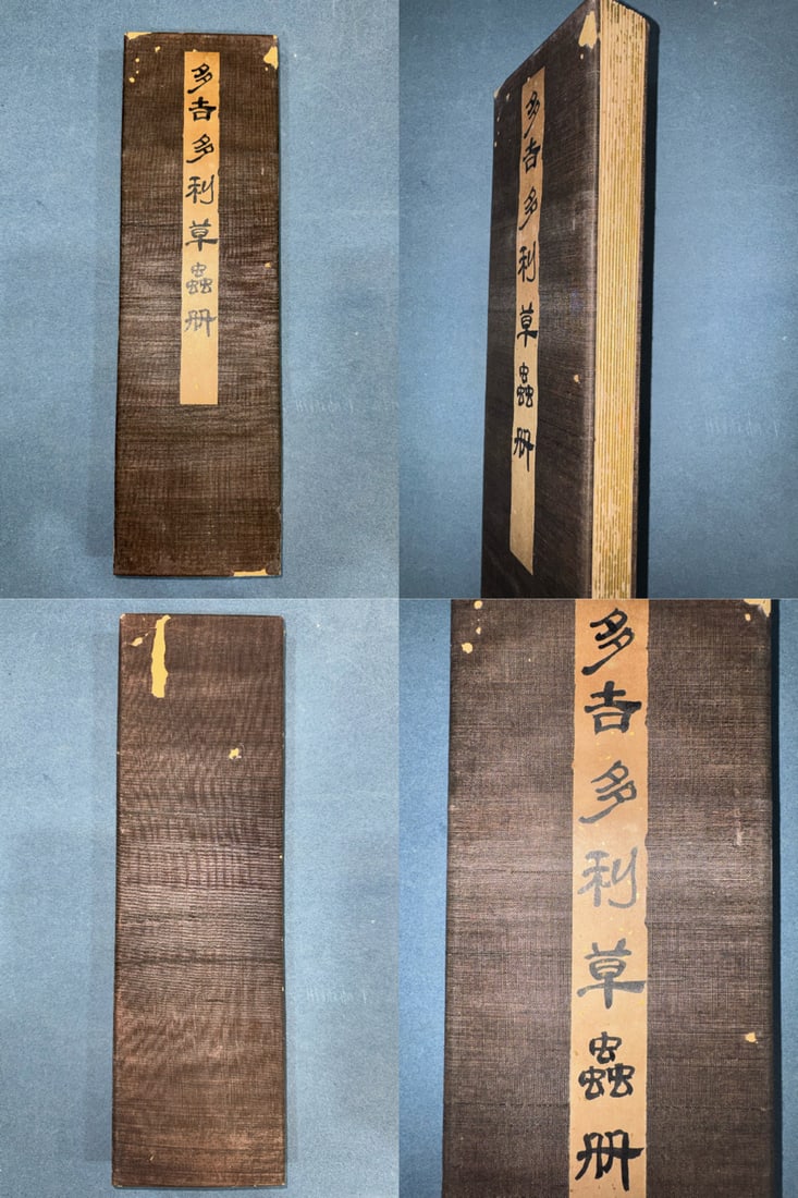 Qi Baishi Duojiduoli Grass and Insect Album (1 of 17)