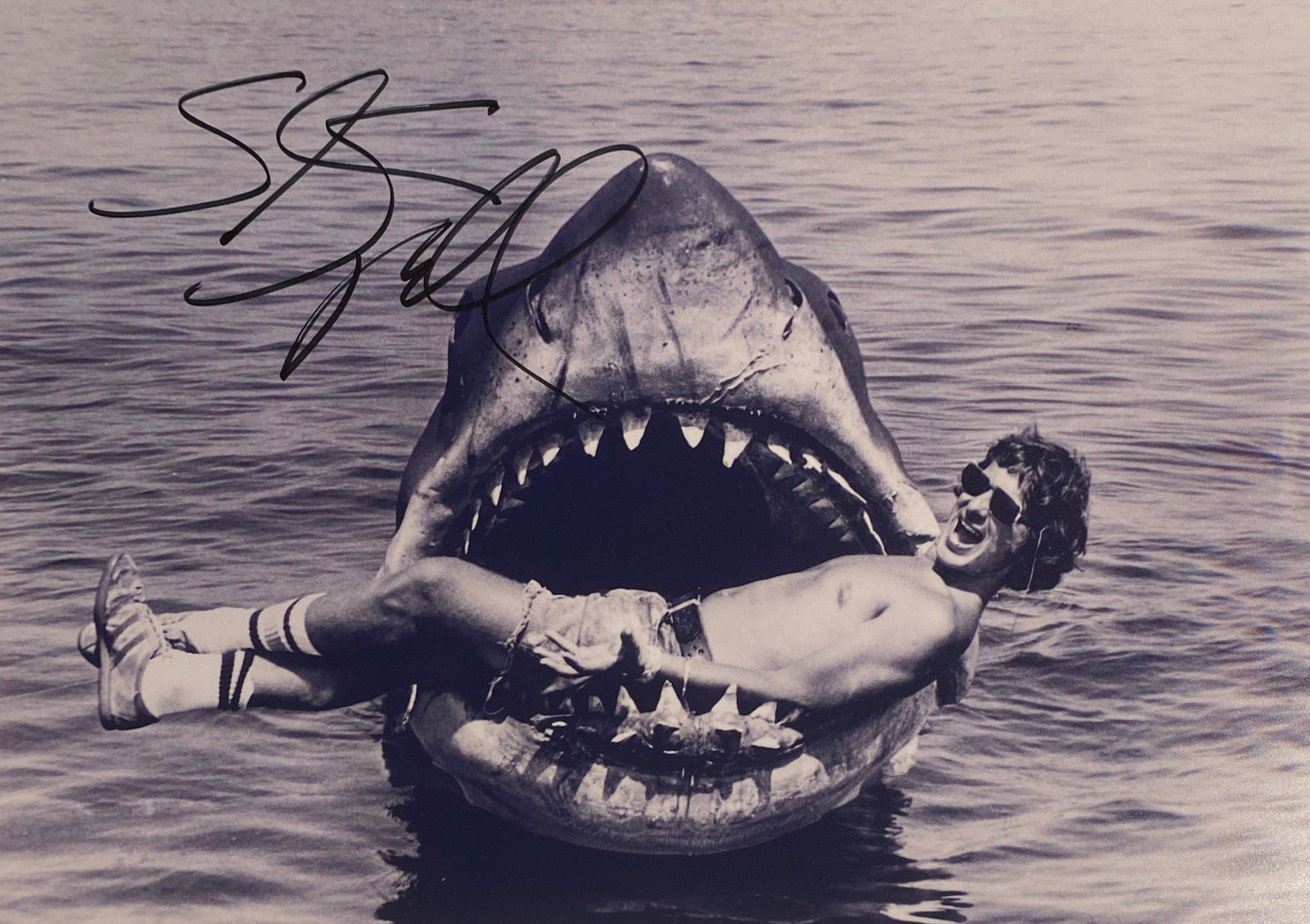Autograph Signed Jaws Photo (1 of 1)