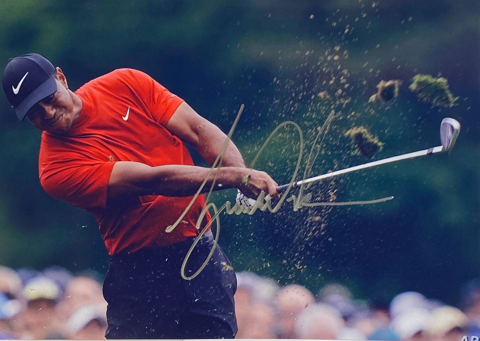 Autograph Tiger Woods Photo: Size: 8 x 10'Autograph: Tiger Woods