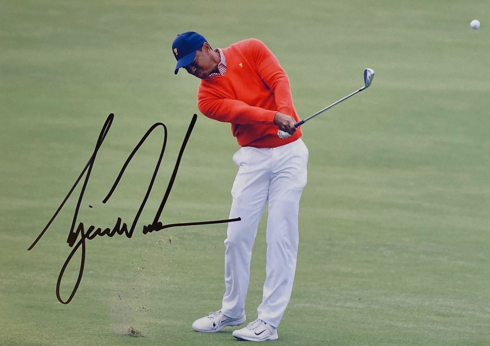 Autograph Tiger Woods Photo: Size: 8 x 10'Autograph: Tiger Woods