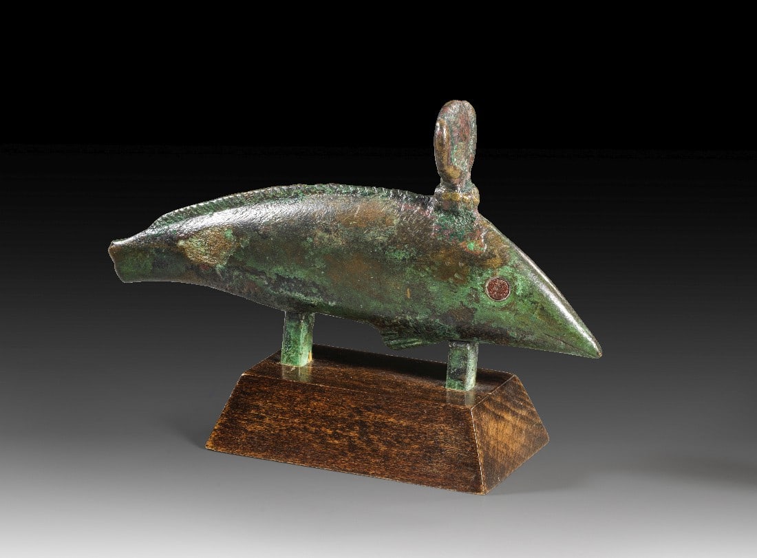 Oxyrhynchos-Fisch. (1 of 1)