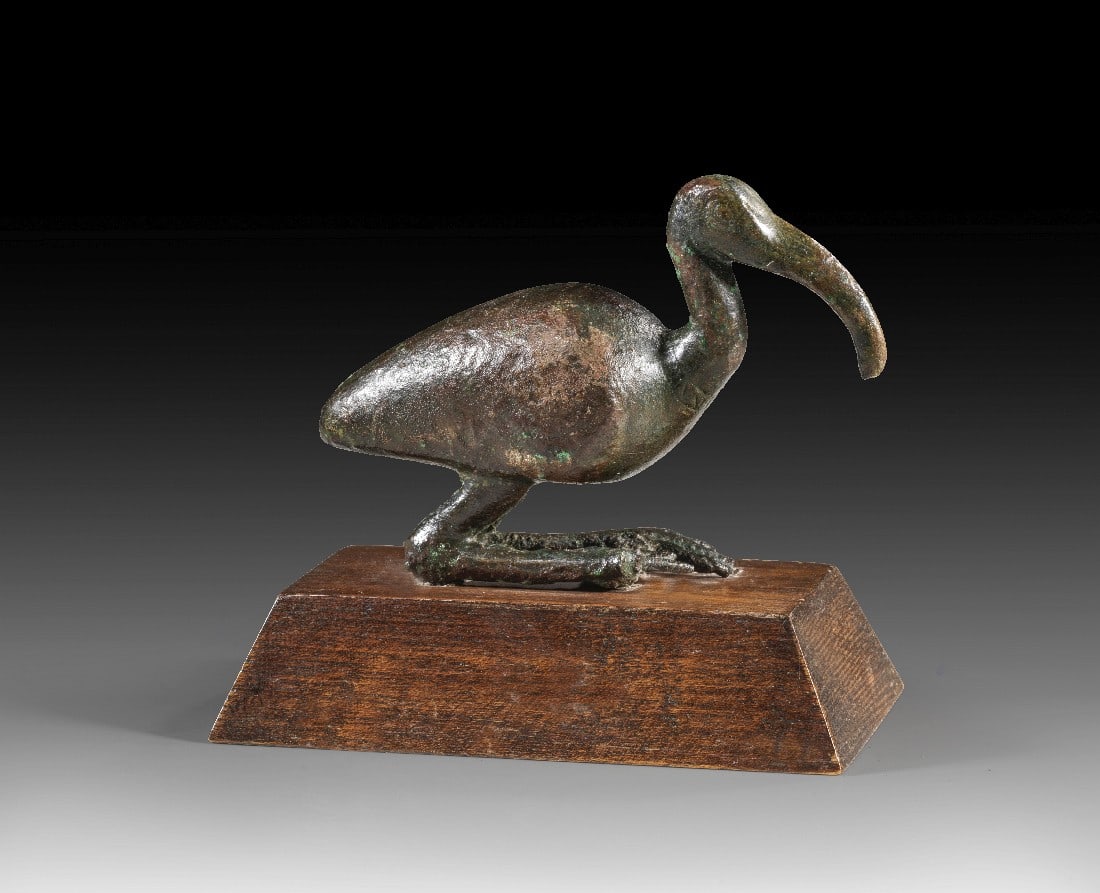 Statuette eines Ibis.: Statuette eines Ibis. Spätzeit bis Ptolemäische Periode, ca. 664 - 30 v. Chr. L 9cm, H 6cm und mit Sockel 8,5cm. Bronzevollguss. Figur eines sitzenden Ibis, der als Erscheinungsform des Gottes Thot