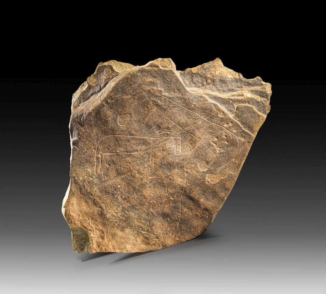 Afrikanische Felszeichnung.: Afrikanische Felszeichnung. Sahara, Rinderzeit, 5000 - 2500 v. Chr.? 43,5 x 33,5cm, 13,92kg. Fragment einer Petroglyphe aus grauschwarzem Stein mit rötlicher Wüstenpatina. Auf der Vorderseite drei