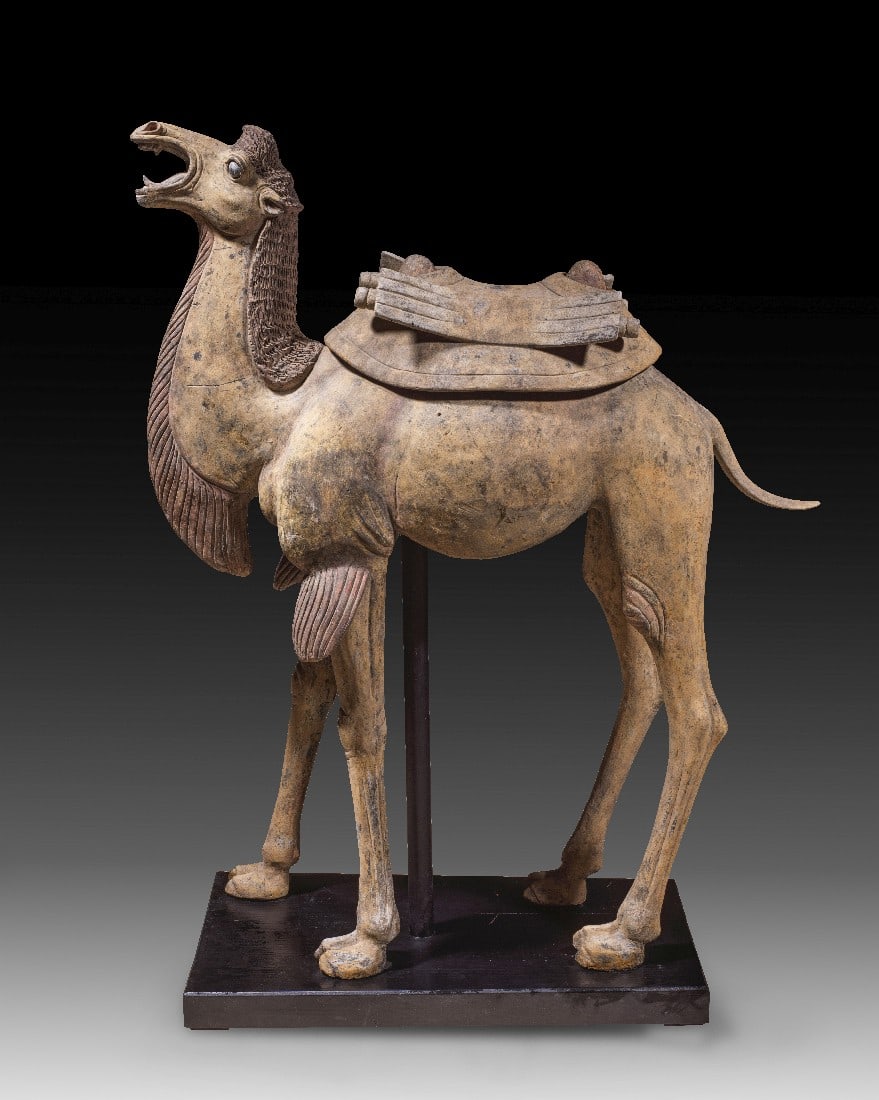 Großes T'ang Kamel mit Sattel.: Großes T'ang Kamel mit Sattel. China, Tang Dynastie, 618 - 907 n. Chr. H 93,5cm, B ca. 77cm. Fein gebrannte, hellockerfarbene Terrakotta mit Resten von Polychromie. Hohl modelliert in mehreren