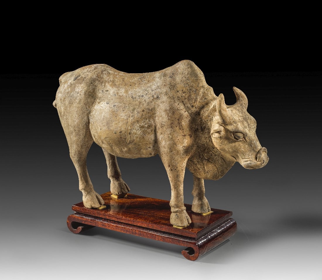 Terrakotta-Stier.: Terrakotta-Stier. China, Tang-Dynastie, 7. - 10. Jh. n. Chr. L 30,5cm. Aus beiger Terrakotta. Stehender Stier mit mächtiger Wamme. Mit Ständer! Oberfläche etwas berieben, intakt. Provenienz: Ex