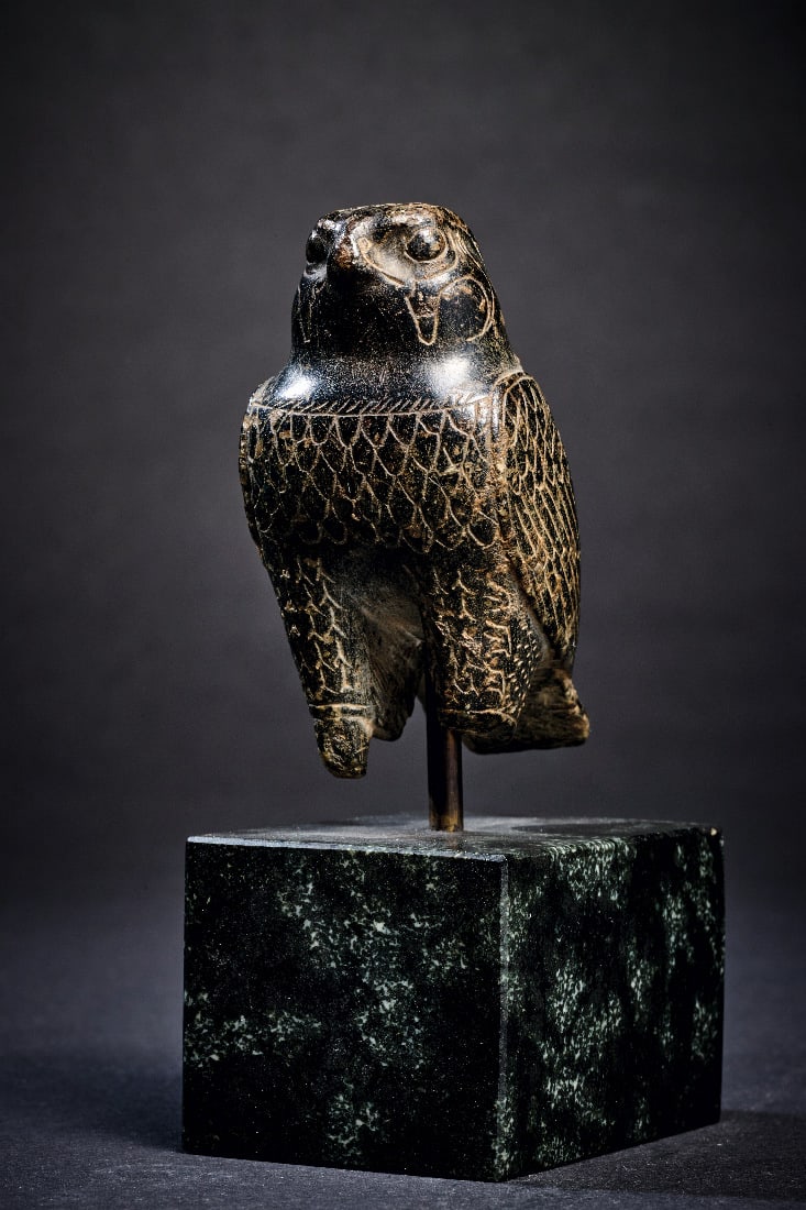 Horusfalke. - 2