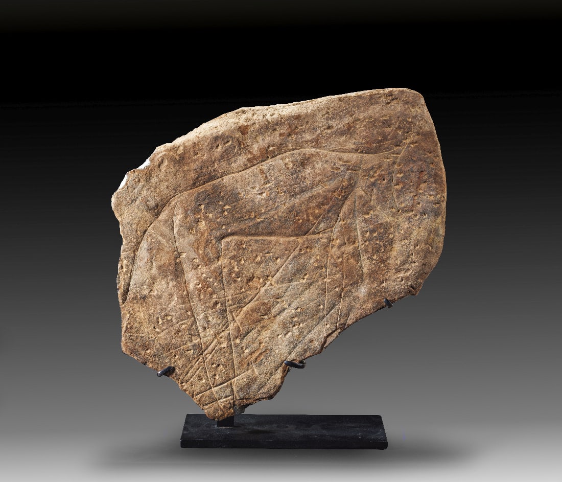 Afrikanische Felszeichnung.: Afrikanische Felszeichnung. Sahara, Rinderzeit, ca. 5.000 - 2500 v. Chr.? Ca. 45 x 39cm, T ca. 3cm. Seitlich natuerlich gebrochene, rueckwaertig modern abgebarbeitete Steinplatte mit einem