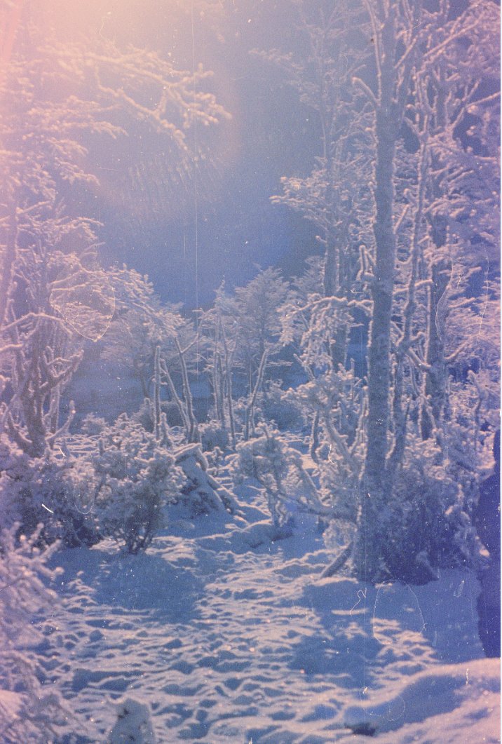 Hairmilk Limited Edition Photograph "Portal" 5/15 (1 of 1)