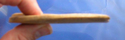 3 1/2" Polished bone gouge - Indian Tool - 3
