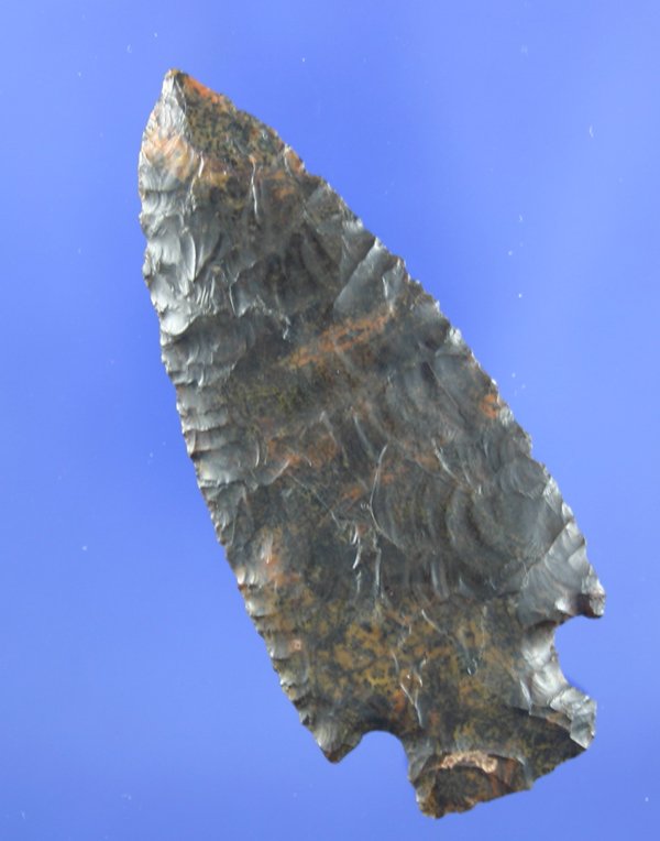 3" Besant found in Colorado - Davis COA