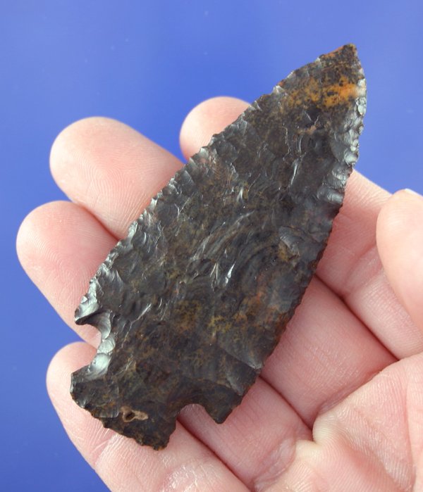 3" Besant found in Colorado - Davis COA - 4