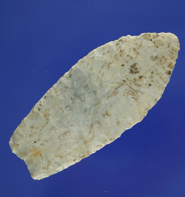 3" Paleo Lancelate - Ohio. Nicely ground AACA - 4