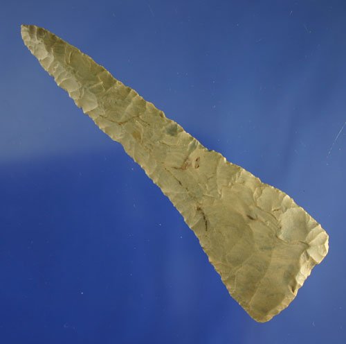 5 1/2" Beveled Cobbs Knife Ex Lester Tolliver