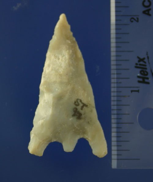 2 1/16" Hernando point found in FL - 3