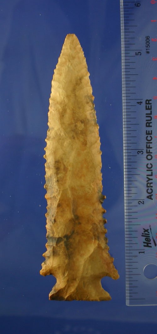 5 5/16" Serrated Kirk found in TN. - 3