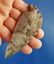 679A: AACA Alibates Cornertang Knife - Rogers COA - 4