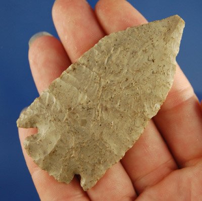 AACA Ohio Pentagonal - Ohio Ex Lar Hothem - 4