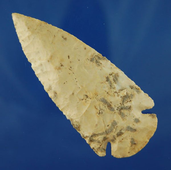 3 3/8" Dovetail found in Rand Co. IL. Rogers COA: 3 3/8" Dovetail found in Rand Co. IL. Rogers COA
