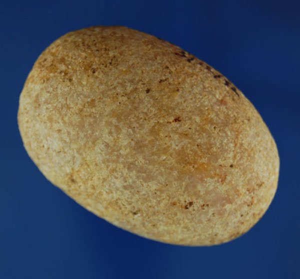 2 1/16" Loafstone found in Franklin Parrish LA. Je: 2 1/16" Loafstone found in Franklin Parrish LA. Jerry Dickey COA.