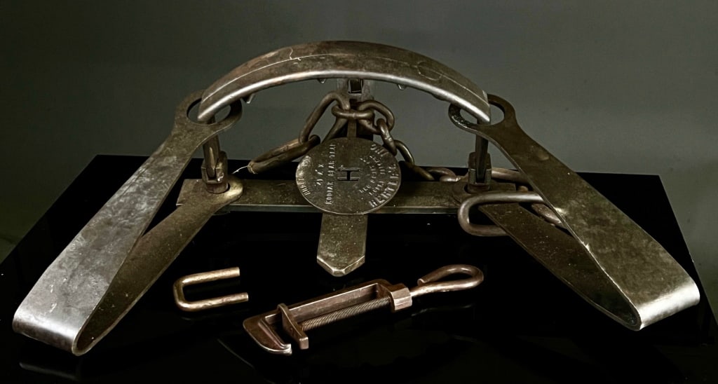 Herter's #6 Kodiak Bear Trap (1 of 9)