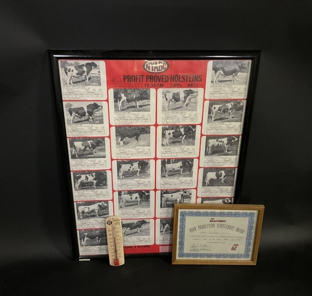 NYABC Holsteins Poster Seed Advertising Lot (1 of 4)
