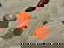 item-209358278=3