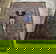 item-209358311=1