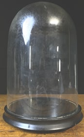 1900's Victorian Glass Dome (John Beath)