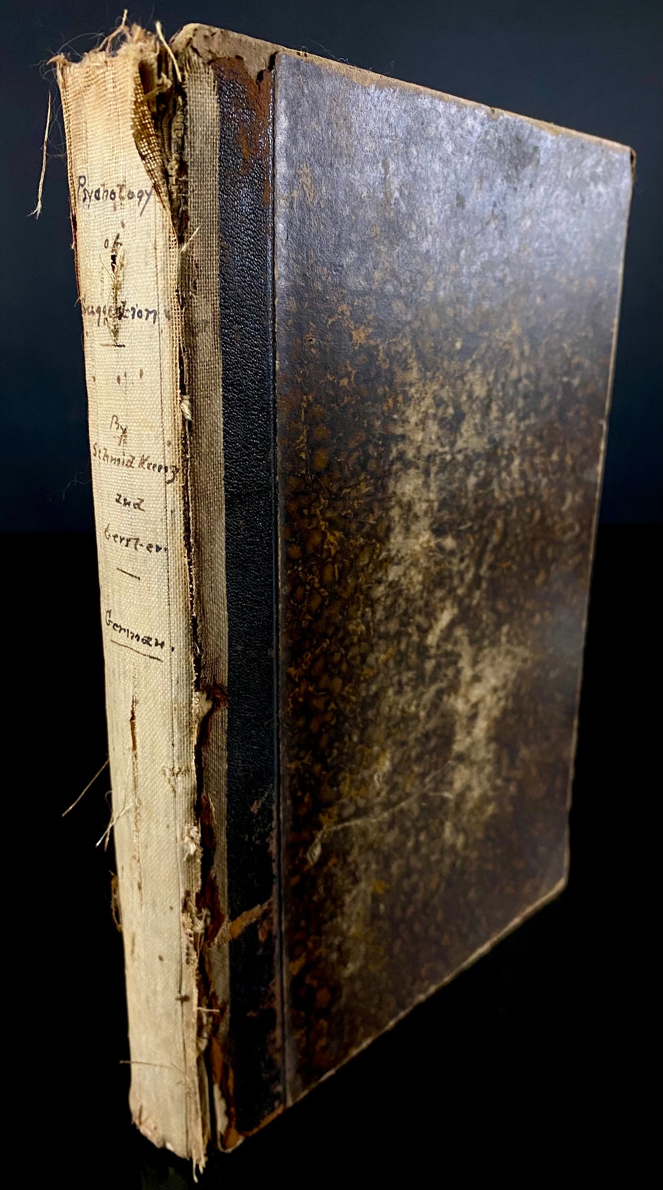 Schmidkunz, Hans, and Gerster, Franz Carl. Psychologie der Suggestion. Stuttgart: Ferdinand Enke, (1 of 8)