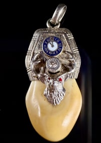 Antique Fraternal Order of Elks (BPOE) Elk Tooth Fob Pendant with 14k Gold