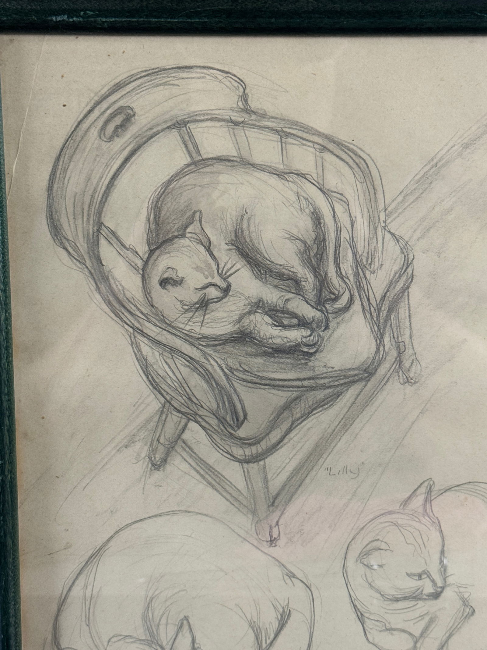 Three Cat Studies, Signed Lillian Levit - 2