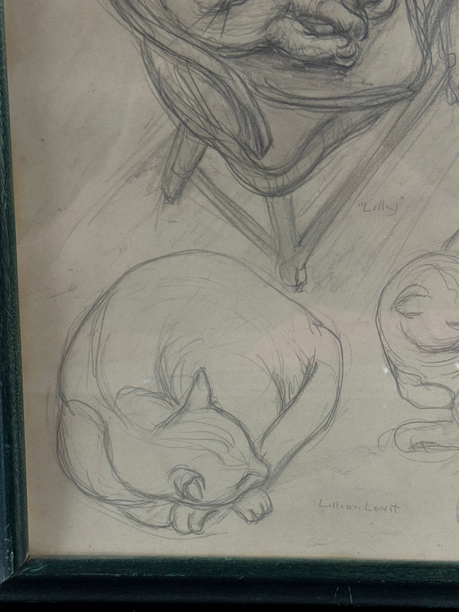 Three Cat Studies, Signed Lillian Levit - 3