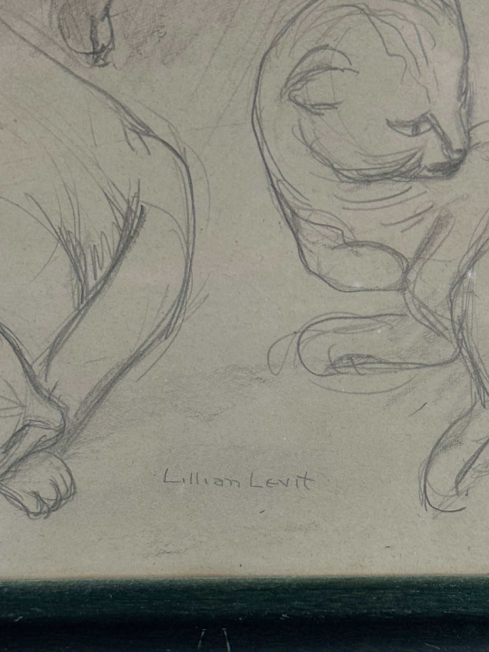 Three Cat Studies, Signed Lillian Levit - 4