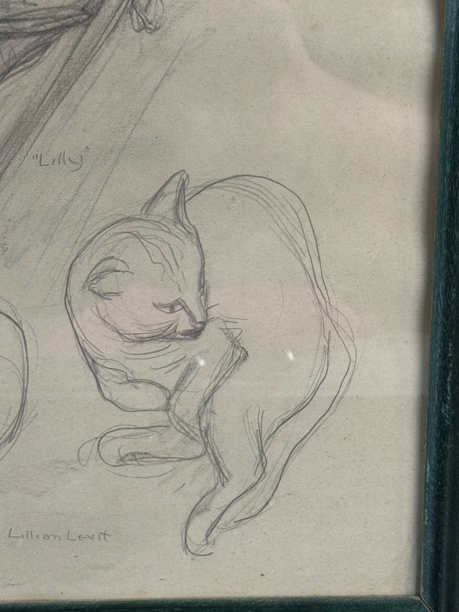Three Cat Studies, Signed Lillian Levit - 5