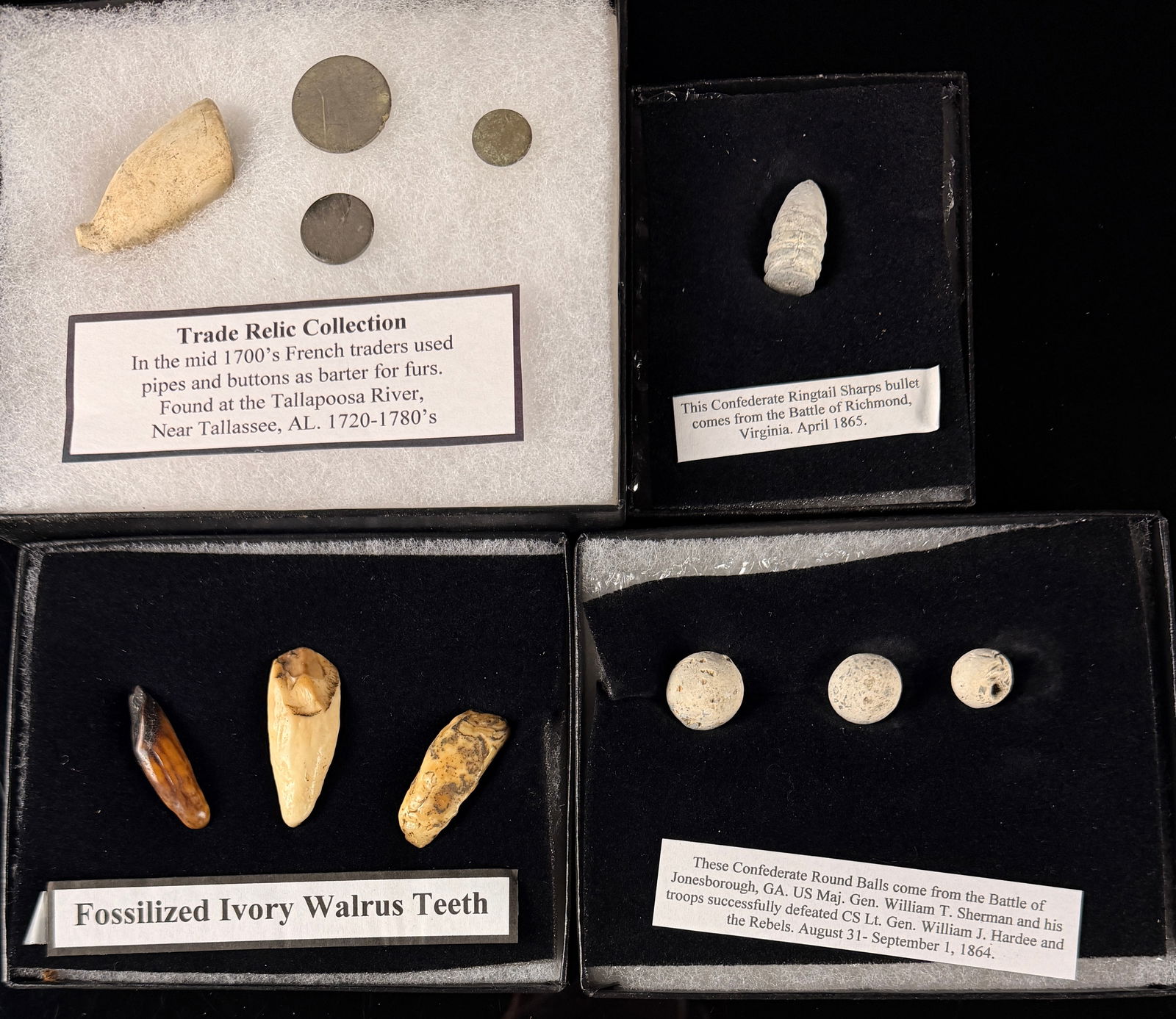 A Collection of Civil War Relics, 18th-Century Trade Artifacts, and Fossilized Walrus Teeth (1 of 5)