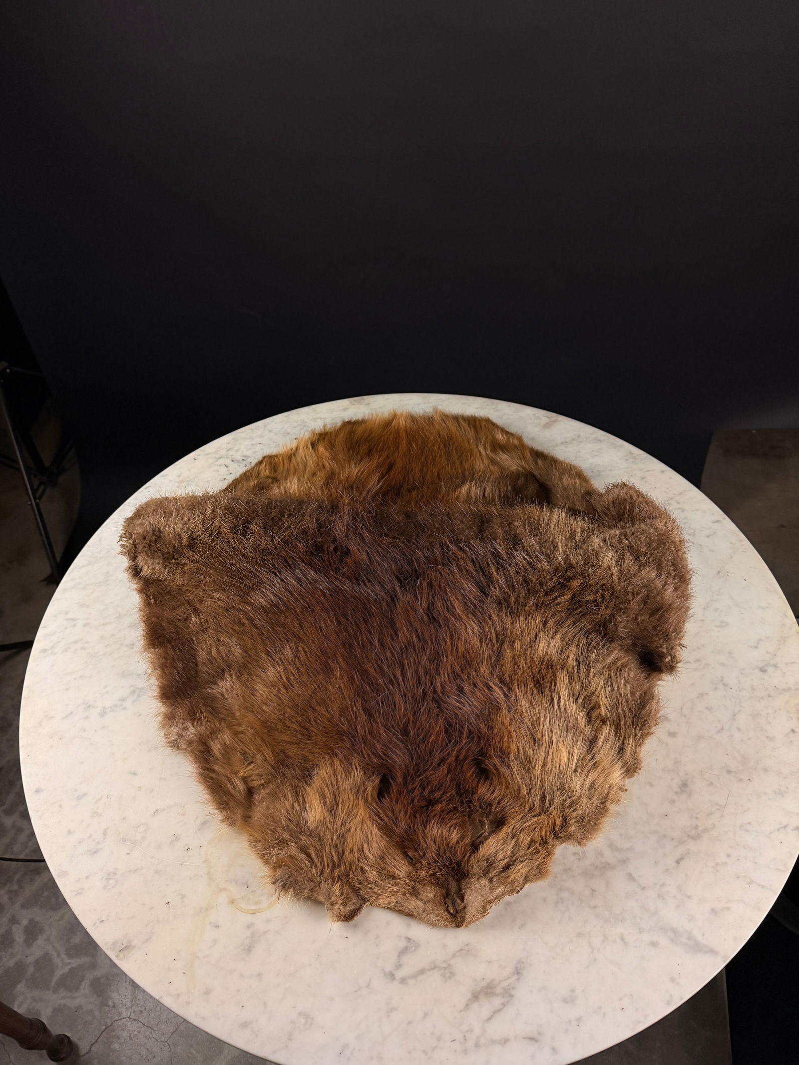 A Tanned Beaver Pelt: A tanned beaver pelt processed and stretched into a traditional rounded form. The specimen features dense, soft fur in variegated shades of chocolate and reddish-brown. The reverse side reveals a tann